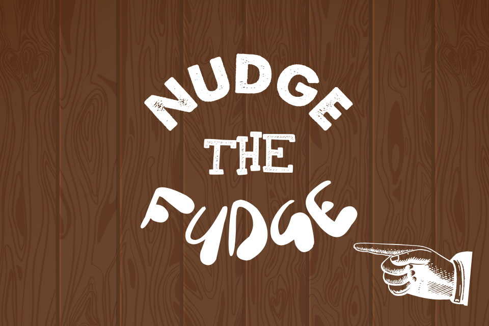Nudge the Fudge